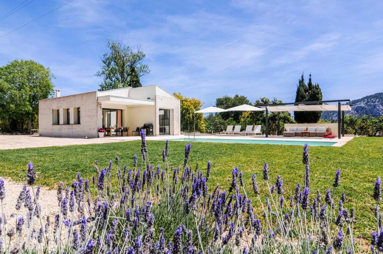 Hort Petit De Ternelles Underfloor Heating Villa Pollença Kültér fotó